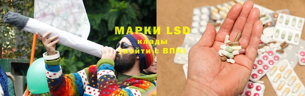 индика Нефтегорск