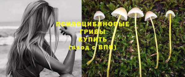 ALPHA-PVP Нефтекумск