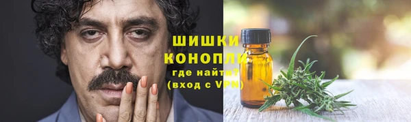 крисы Новодвинск