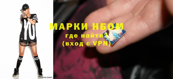 крисы Новодвинск