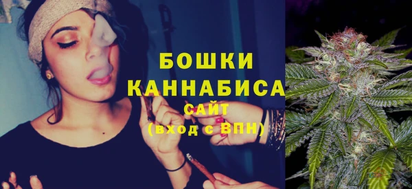 крисы Новодвинск