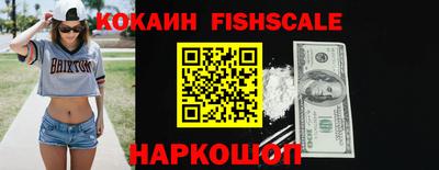 гидра Кинель