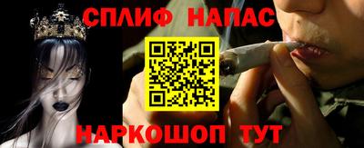 гидра Кинель