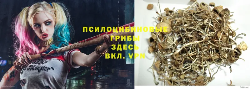 Галлюциногенные грибы Magic Shrooms  купить  сайты  Арсеньев 