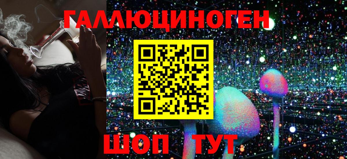 Альфа ПВП Арсеньев