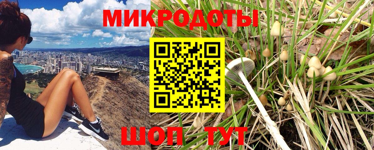 Галлюциногенные грибы Psilocybine cubensis  Арсеньев 