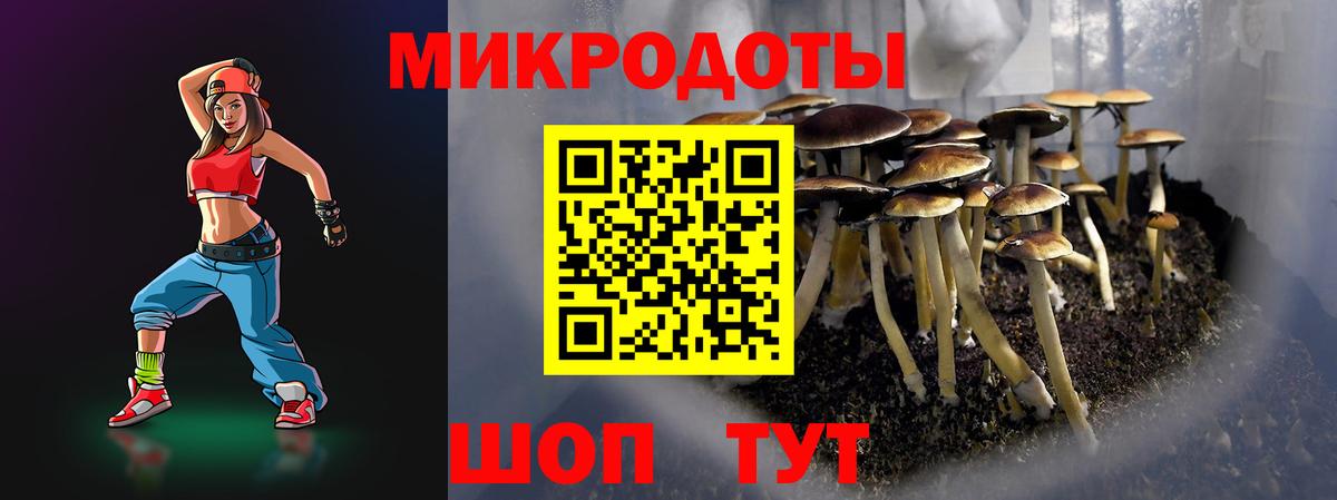 Галлюциногенные грибы Psilocybe  Псилоцибиновые грибы ЛСД  Арсеньев  Вход с VPN 
