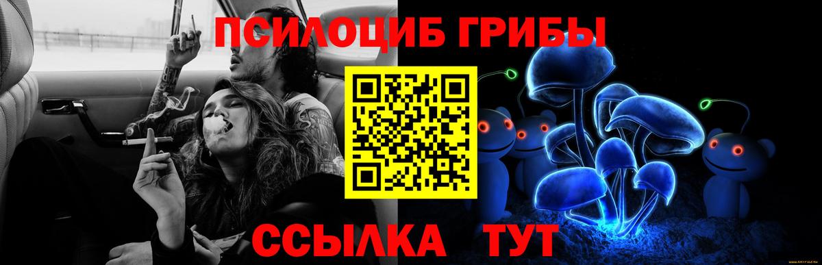 Псилоцибиновые грибы GOLDEN TEACHER Арсеньев
